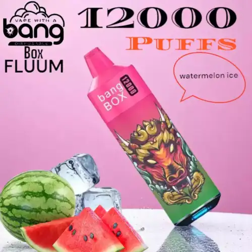 BANG FLUUM Box 12000 Puffs Vape Jetable Fruité