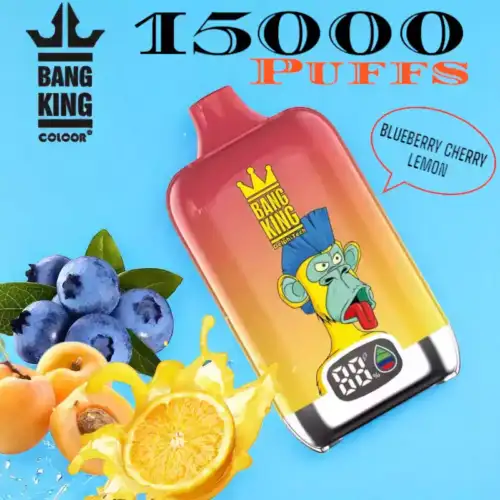 BANG King 15000 Puffs LED Vape Jetable 15K aux Saveurs Fruitées