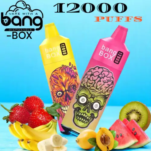 bang BOX 12000 puffs Vape jetable compacte et savoureuse