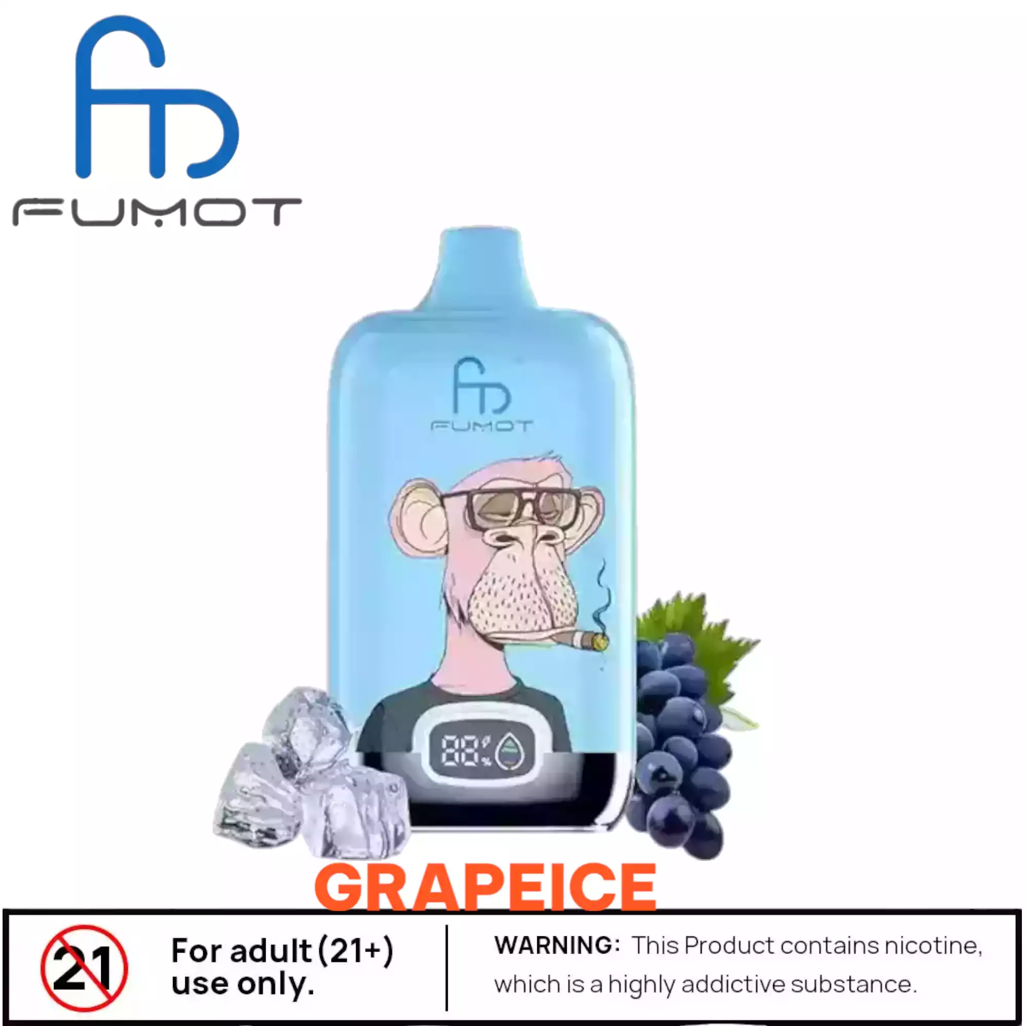 RandM Fumot Digital Box 12000 Puffs avec Écran Numérique